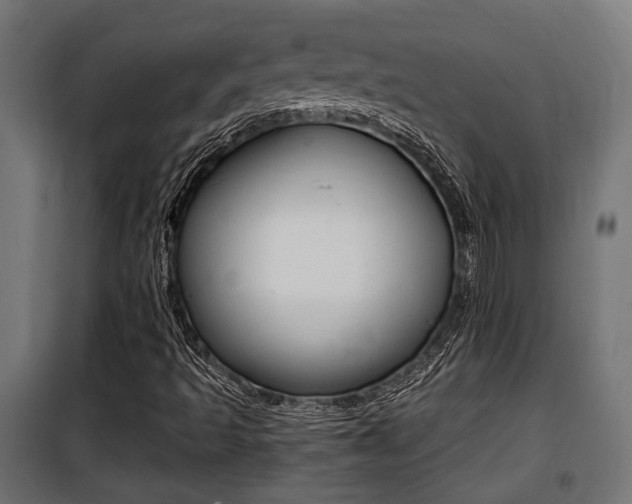 X0000100761493200806190856
