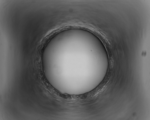 X0000100761494200806190856