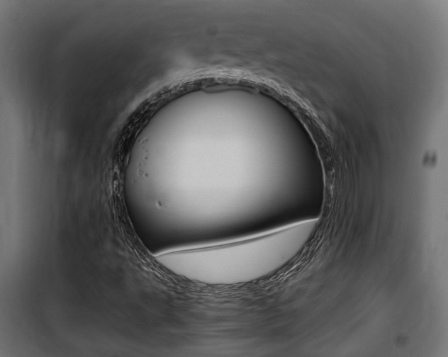 X0000100761495200806190856