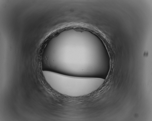 X0000100761496200806190856