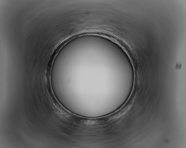 X0000100761497200806190857