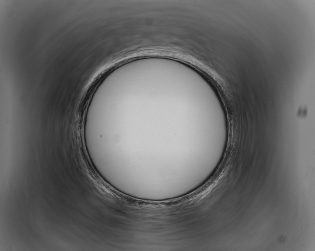 X0000100761498200806190857