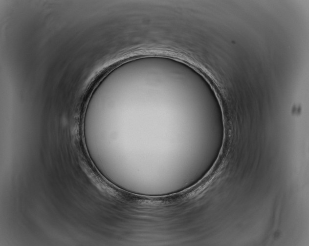 X0000100761499200806190857