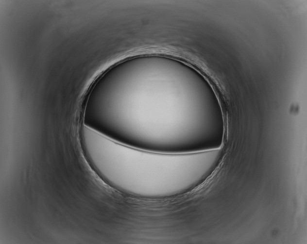 X0000100761500200806190857