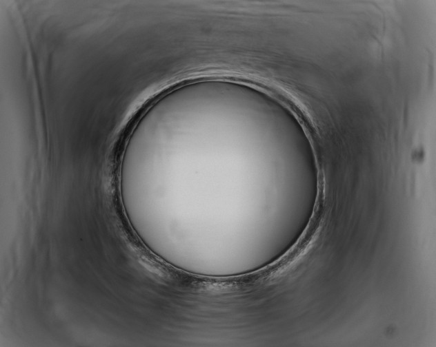 X0000100761501200806190857