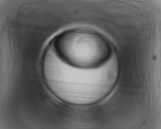 X0000100761502200806190857