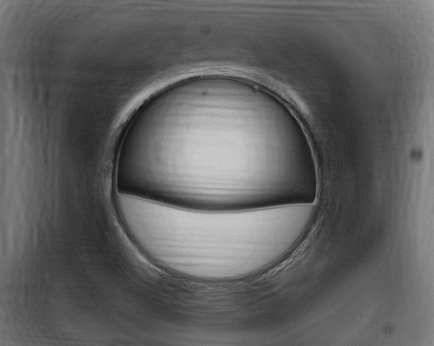 X0000100761504200806190857