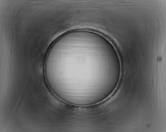 X0000100761505200806190857