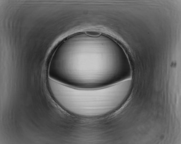 X0000100761506200806190857
