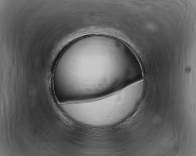 X0000100761507200806190857