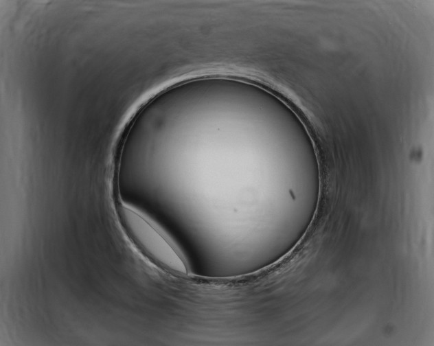 X0000100761508200806190857