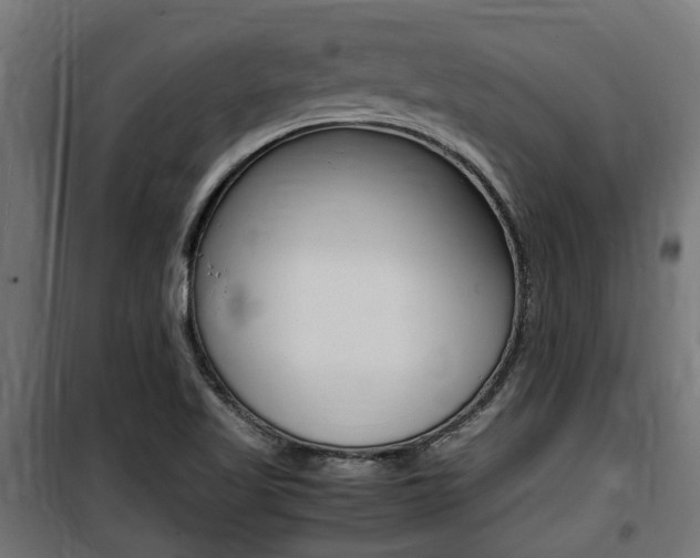 X0000100761509200806190857