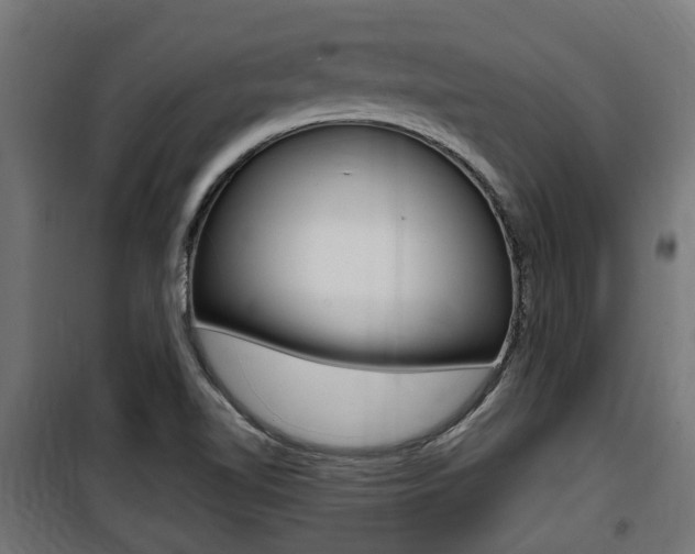 X0000100761510200806190857