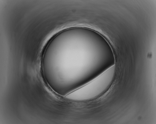 X0000100761511200806190857