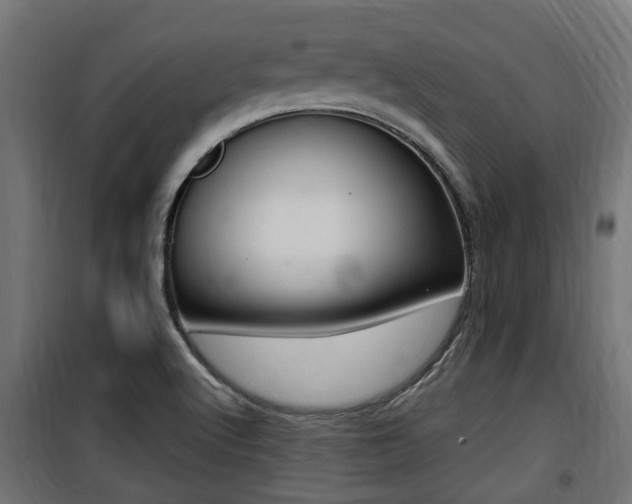 X0000100761512200806190857