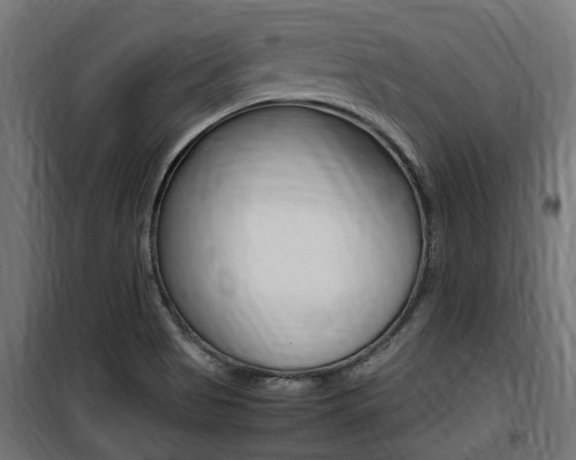 X0000100761513200806190857