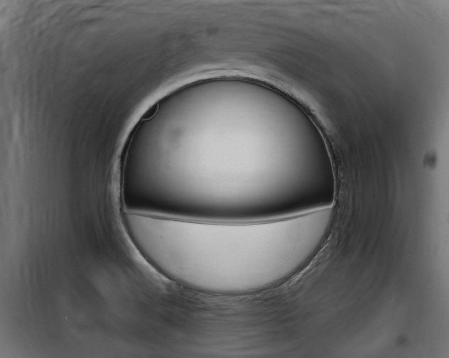 X0000100761516200806190857