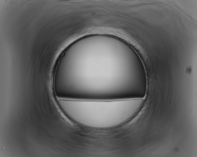 X0000100761517200806190857