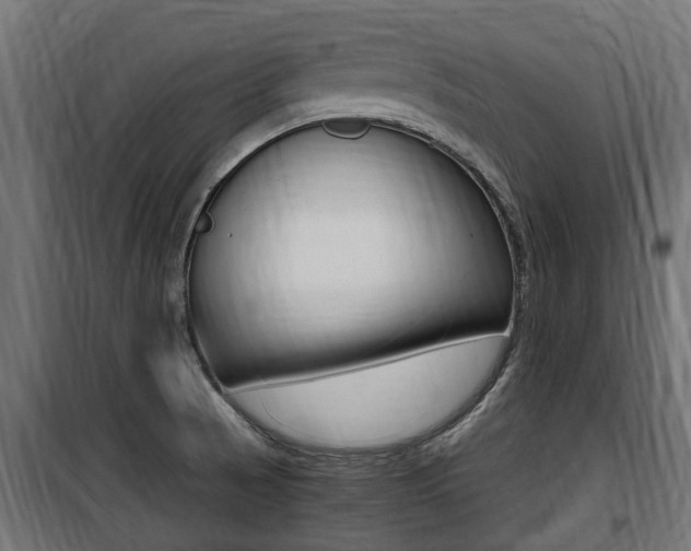X0000100761521200806190857