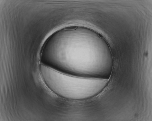 X0000100761522200806190857