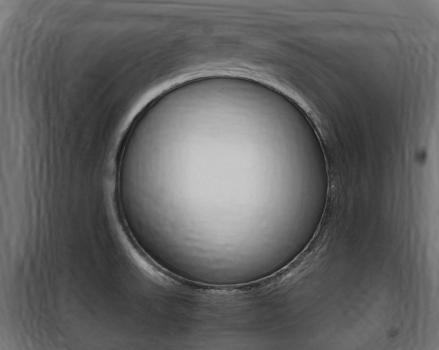 X0000100761523200806190857