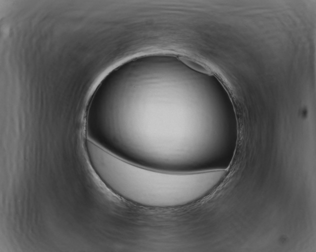 X0000100761524200806190857