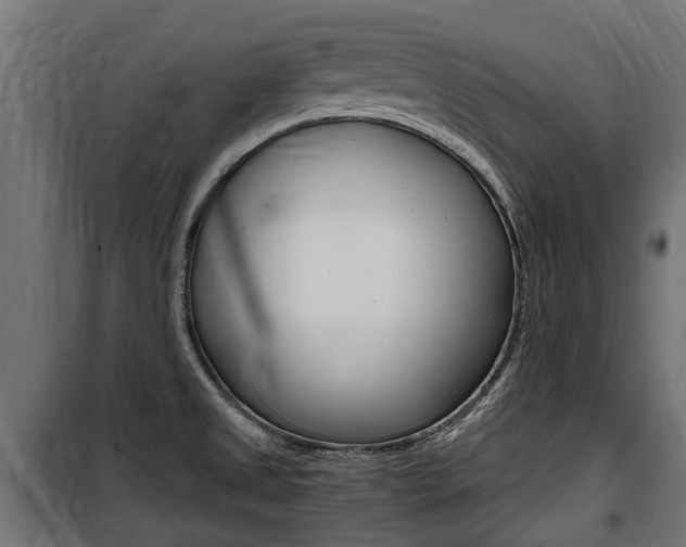 X0000100761525200806190857