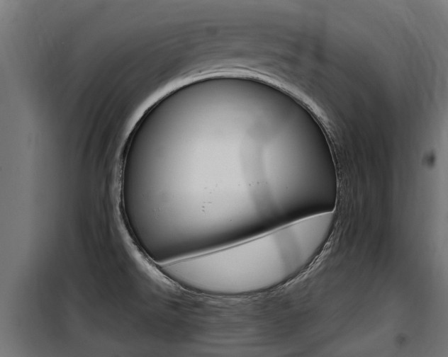 X0000100761526200806190857
