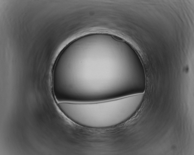 X0000100761527200806190857