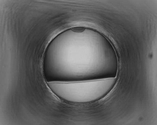 X0000100761529200806190857