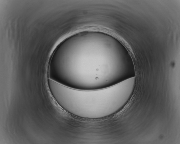 X0000100761530200806190857