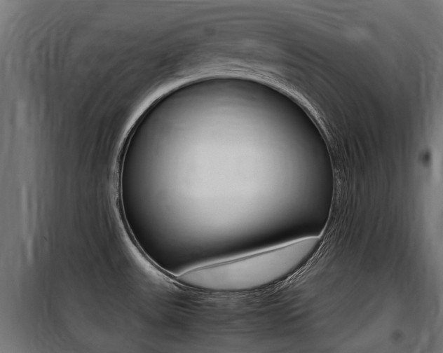 X0000100761531200806190857