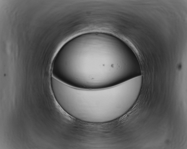 X0000100761532200806190857