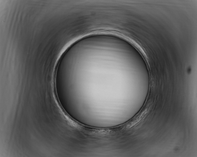 X0000100761533200806190857
