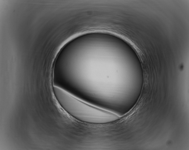 X0000100761534200806190857