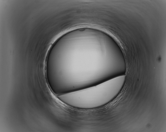 X0000100761535200806190857