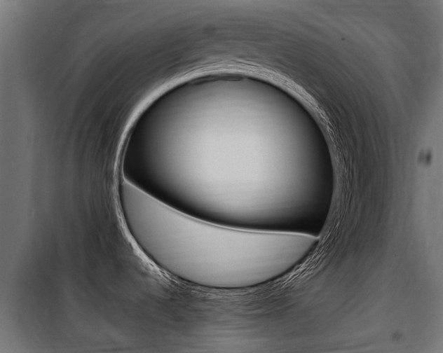 X0000100761536200806190857
