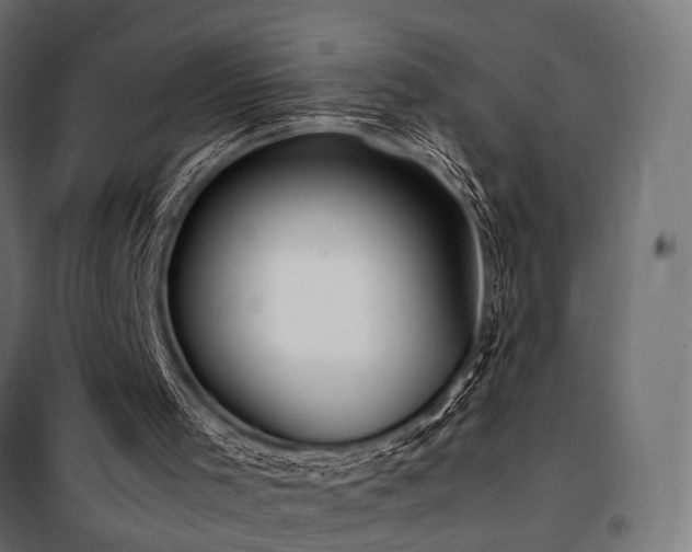 X0000100760001200806191218