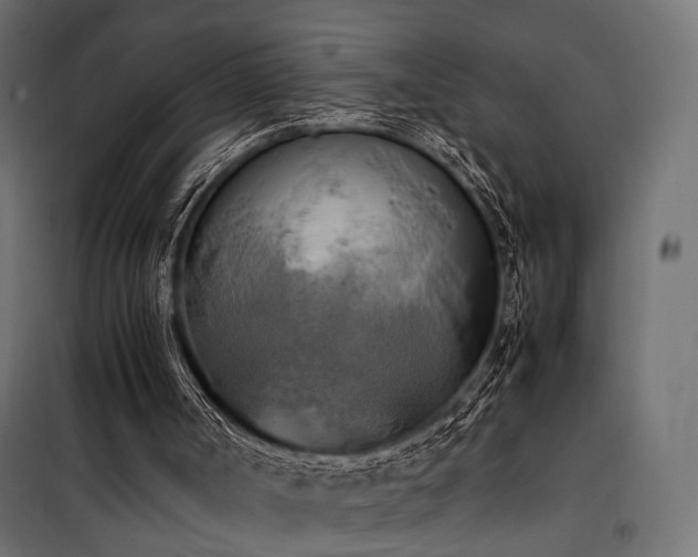 X0000100760002200806191218