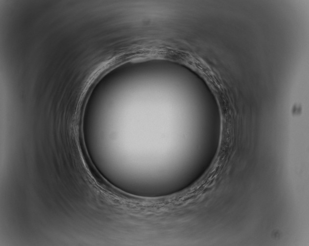 X0000100760003200806191218