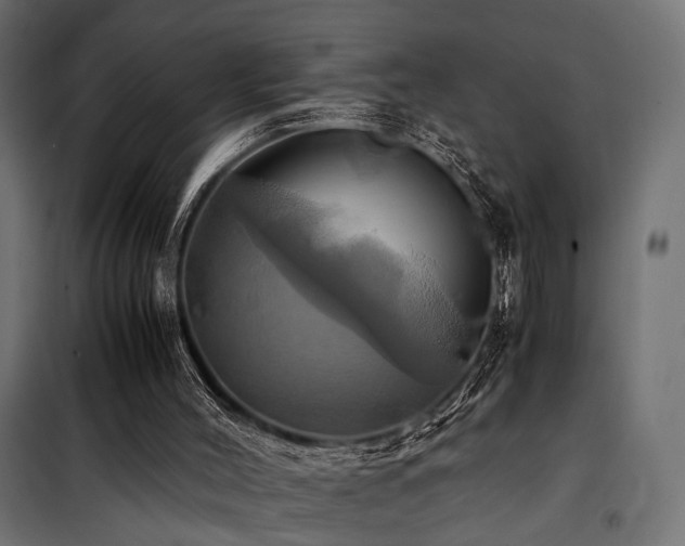 X0000100760004200806191218