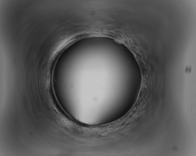 X0000100760005200806191218