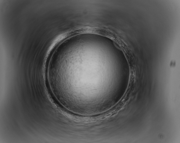 X0000100760006200806191218