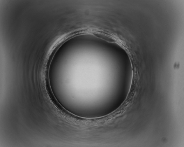 X0000100760007200806191218