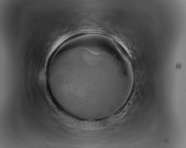 X0000100760008200806191218