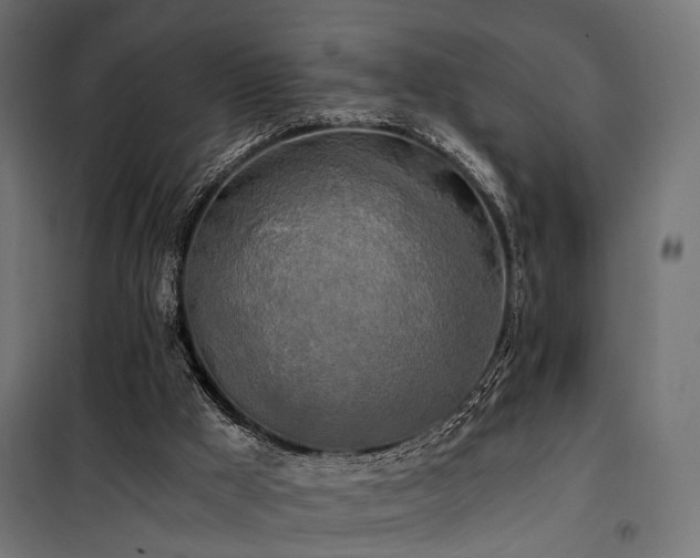 X0000100760009200806191218