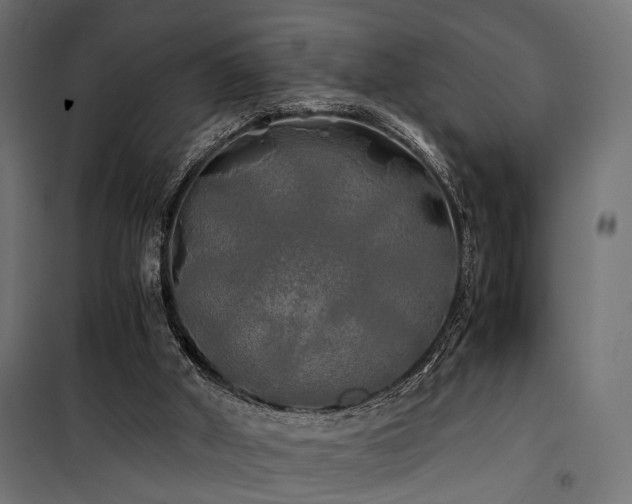 X0000100760010200806191218