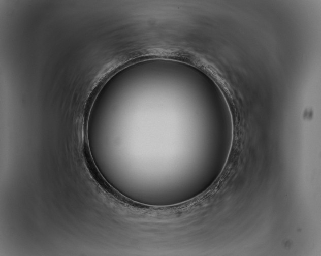 X0000100760011200806191218