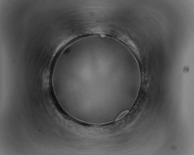 X0000100760012200806191218