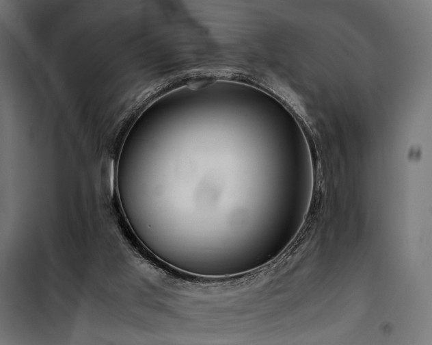 X0000100760013200806191218